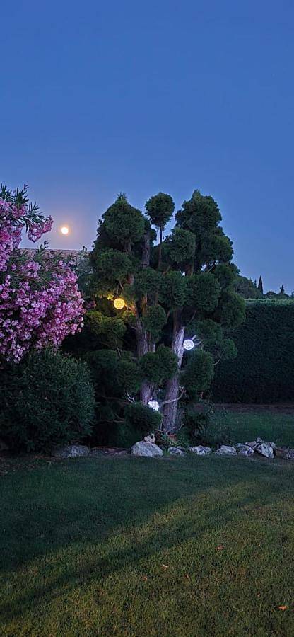 Le Jardin d'Helfy in Mazan, Parc naturel régional du Mont-Ventoux