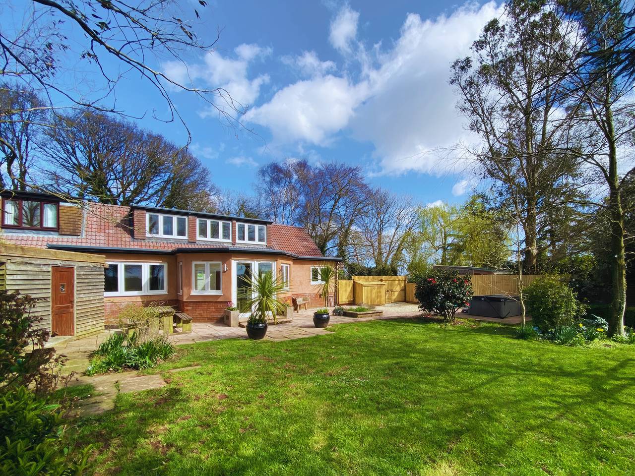 Wagtails in Langford Budville, Somerset