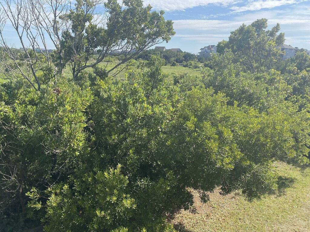 Ganze Wohnung, The best Obx sunsets in Waves, Pamlico Sound