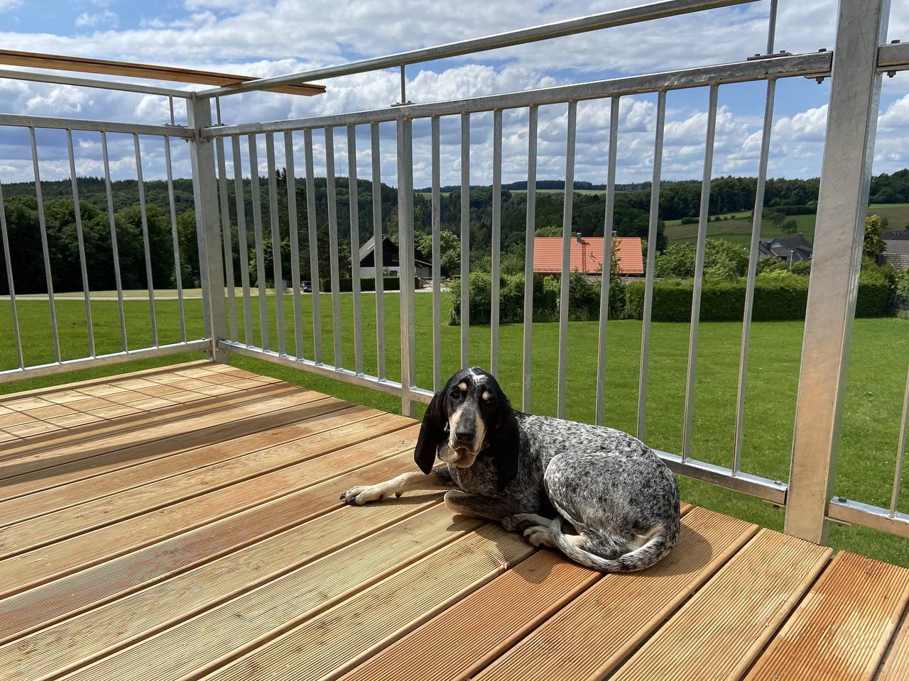 Ganze Wohnung, Apartment "Haus Schönblick" mit geräumigem Balkon im Bayerischen Odenwald in Amorbach, Main-Odenwald