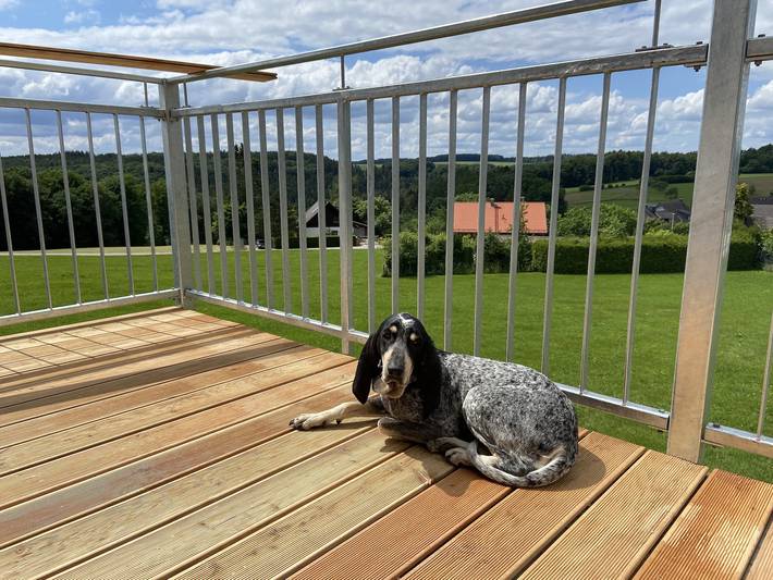 Ferienwohnung für 4 Personen, mit Balkon im Spessart - 2