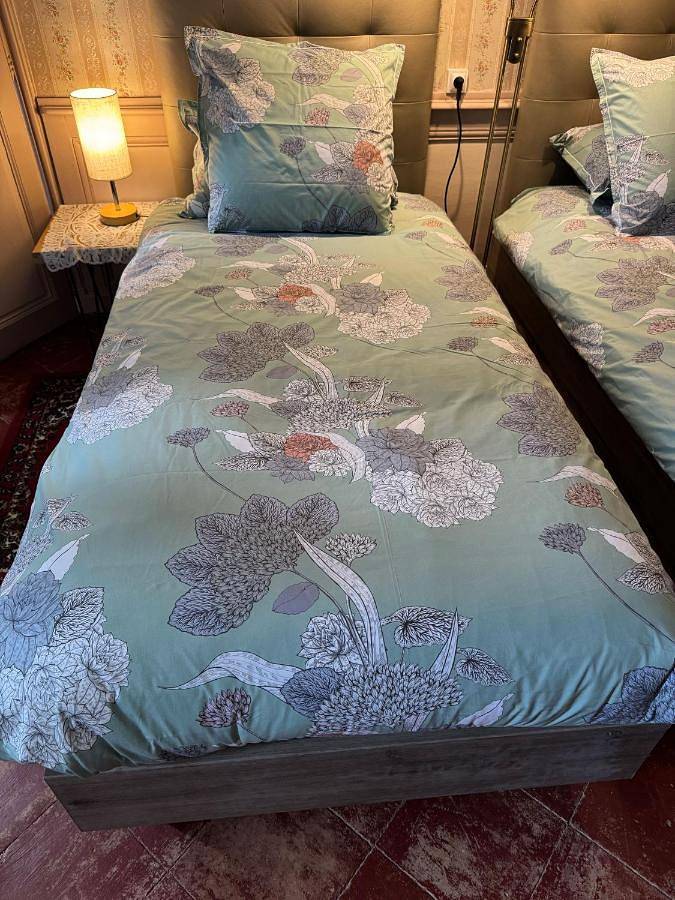 Twin Room with Private Bathroom in Mirepoix, Ariège