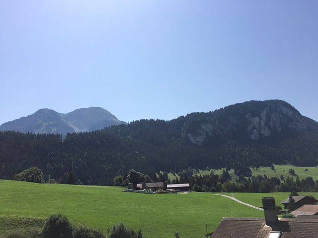 Ganze Ferienwohnung, Appartement La Montagne - 4 Schlafzimmer, 160m², 8 Personen in Château-d' Oex, Pays-d'Enhaut Region