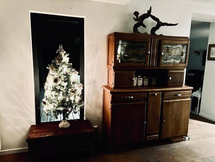 Location de vacances pour 10 personnes, avec jardin et vue, animaux acceptés dans Rospico - 4