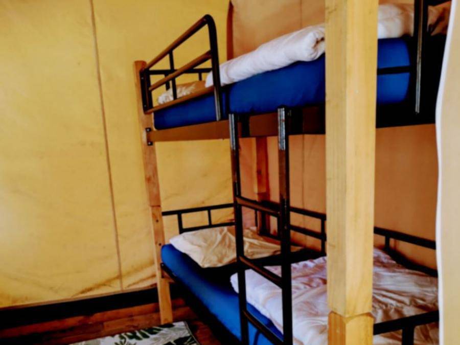 Camping La Digue - Canvas and wooden tent 6 persons - Lodge Tent in Chauzon, Ardèche