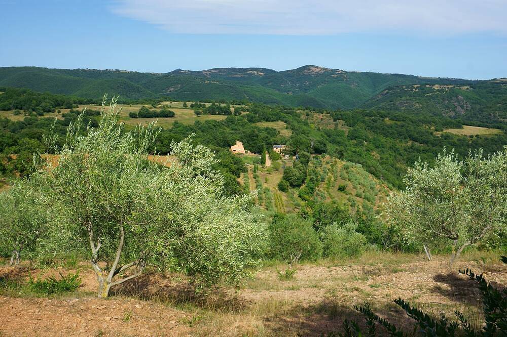 Gite en pleine nature sur oliveraie et élevage de chevaux in Albières, Parc naturel régional Corbières-Fenouillèdes