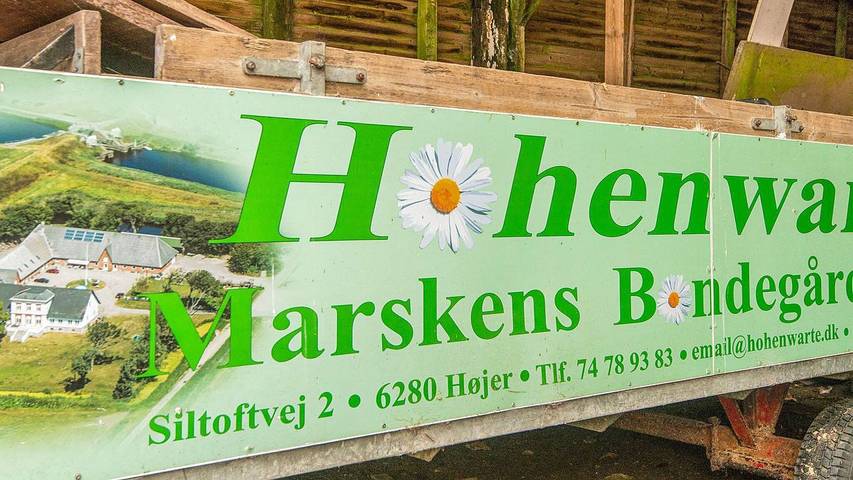 Ferienhaus für 5 Personen, mit Haustier in Højer