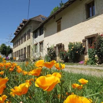 Chambre d’hôte pour 2 personnes, avec jardin à Saint-Franc