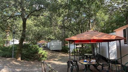 Glamping per 5 Persone in Bucine (Gemeinde), Chianti, Foto 3