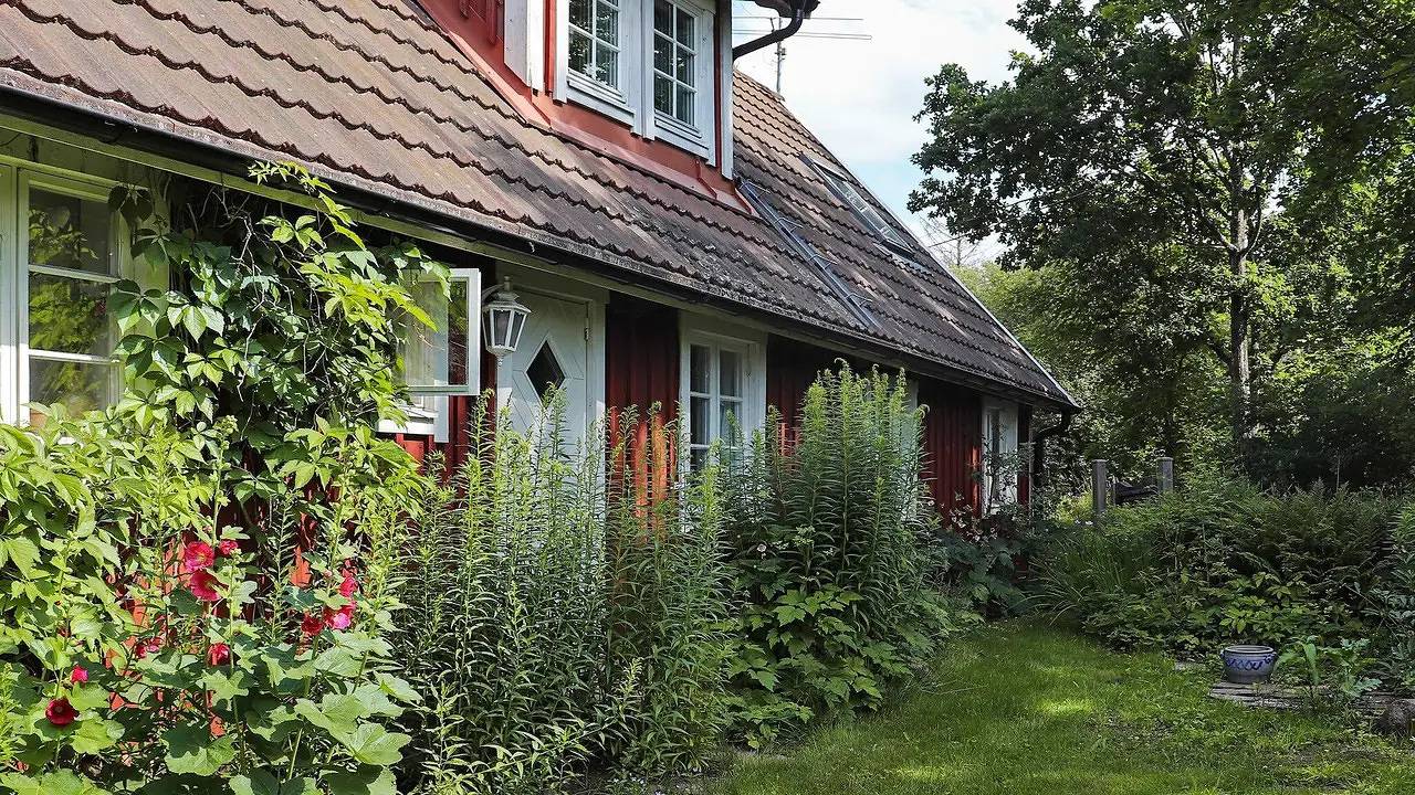 Ferienhaus für 6 Personen (120 m²) in Örkelljunga in Skåne