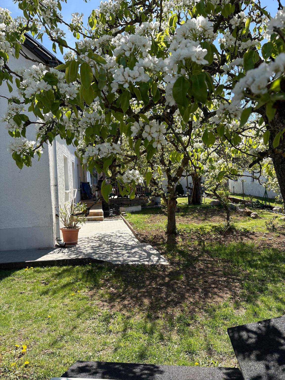 Ferienwohnung "Tante Betty" - Ferienwohnung Tante Betty in Essing, Altmuhltal