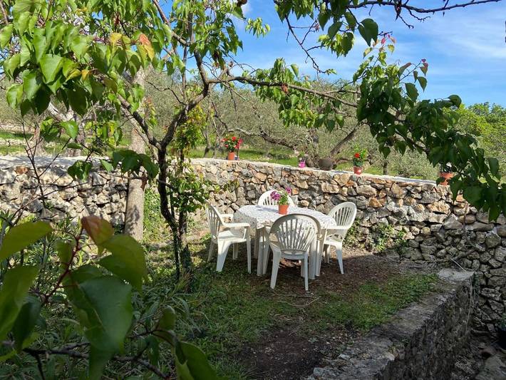 Location de vacances pour 6 personnes, avec terrasse ainsi que vue et jardin, animaux acceptés à Mons (Var) - 2