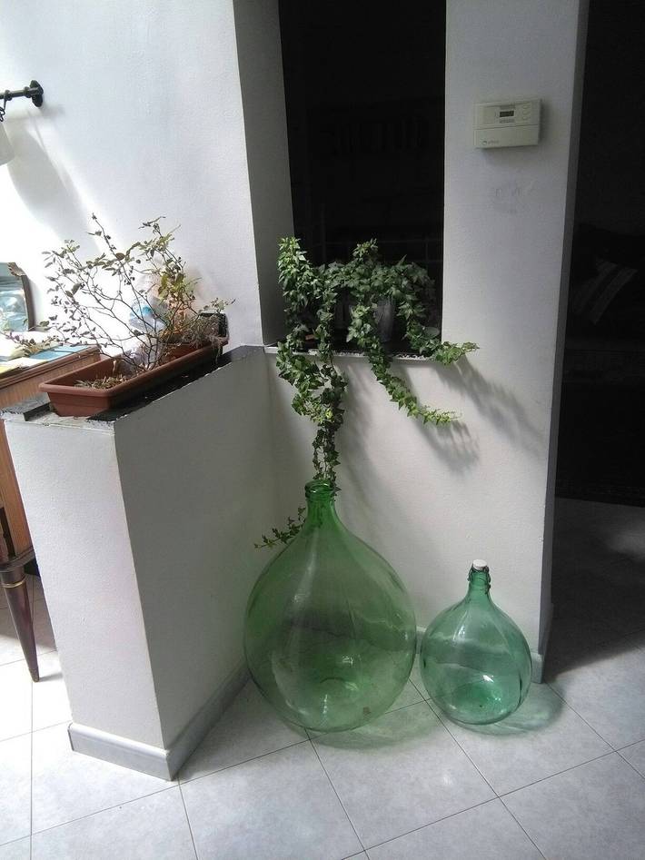 Ferienwohnung für 4 Personen, mit Ausblick in Genua - 2