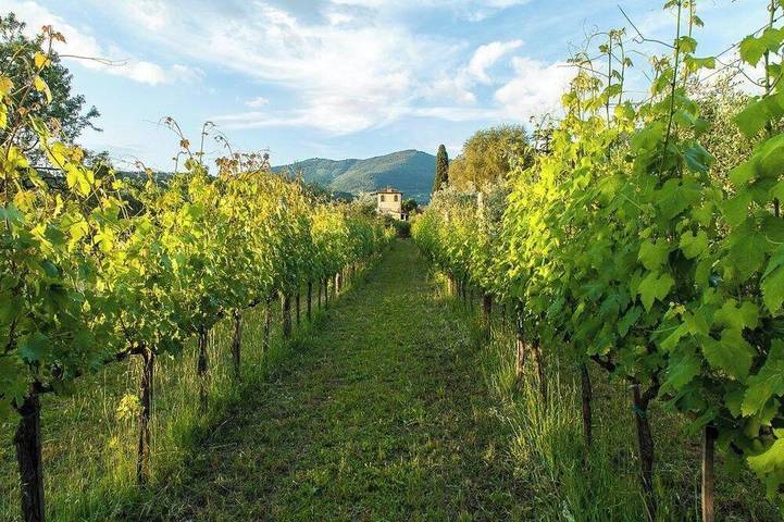 Apartamento entero, Habitación Deluxe en residencia histórica con piscina in Sesto Fiorentino, Provincia de Firenze