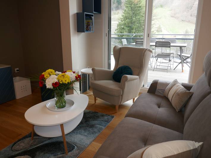Appartement entier, Appartement avec grande terrasse ensoleillée, proche thermes et ski in Mont-Dore, Parc naturel régional des Volcans d'Auvergne