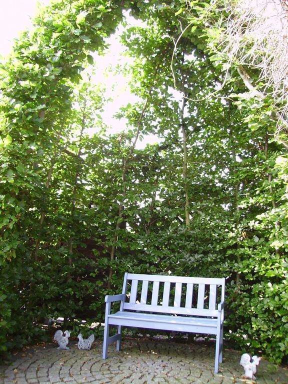 Ferienwohnung für 5 Personen, mit Balkon und Terrasse sowie Garten und Pool in Belgern-Schildau - 2
