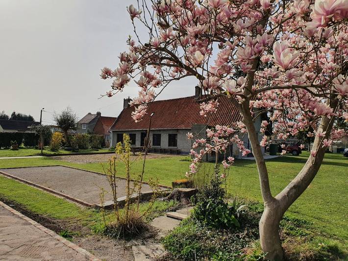 Gîte pour 6 personnes, avec terrasse et jardin, animaux acceptés dans le Pas-de-Calais - 4