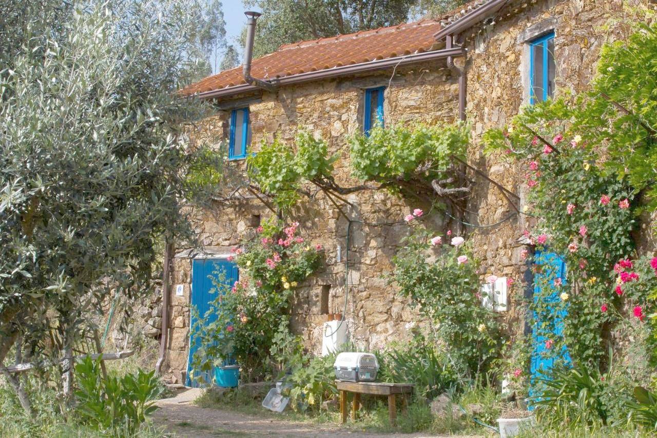 Budget Double Room in Figueiró dos Vinhos, Leiria distrito