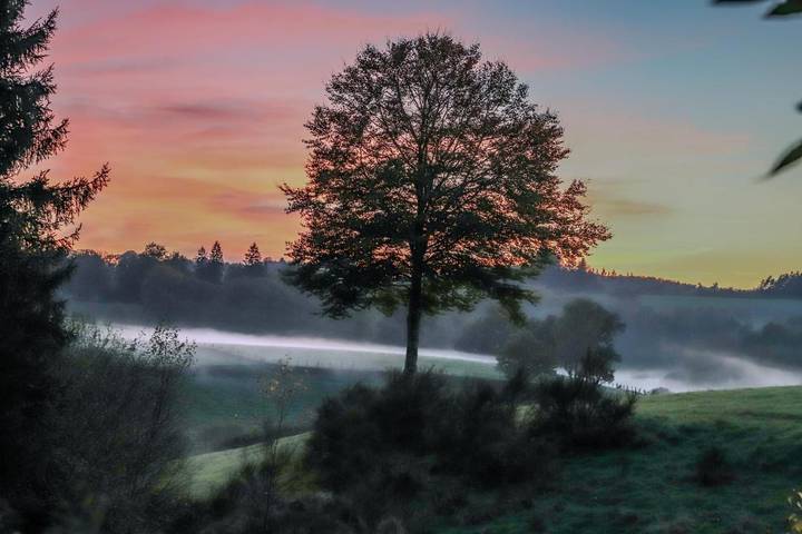 Hôtel pour 3 personnes, animaux acceptés à Tarnac - 2