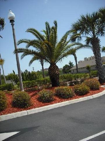 Vacation Home for 6 Guests in Panama City (Florida), Emerald Coast, Picture 3