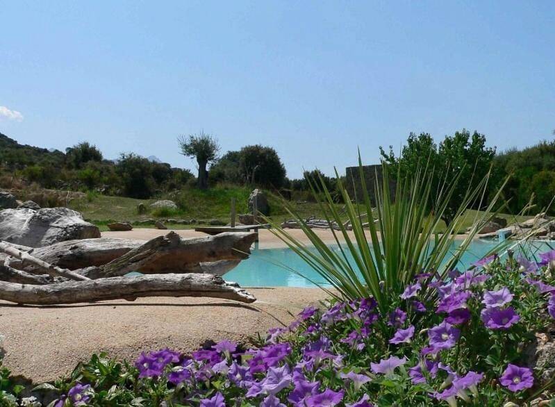 L'Alivi di l'Osari in Belgodère, Région de Calvi