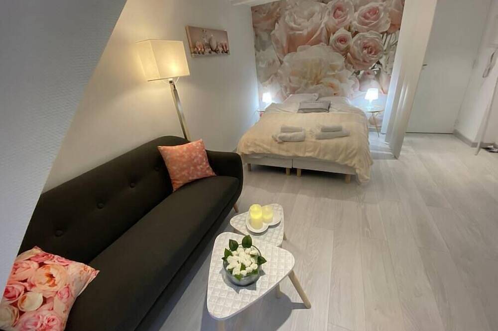 Entire apartment, Esprit Romantique ........ au coeur de Mulhouse in Mulhouse, Mulhouse region