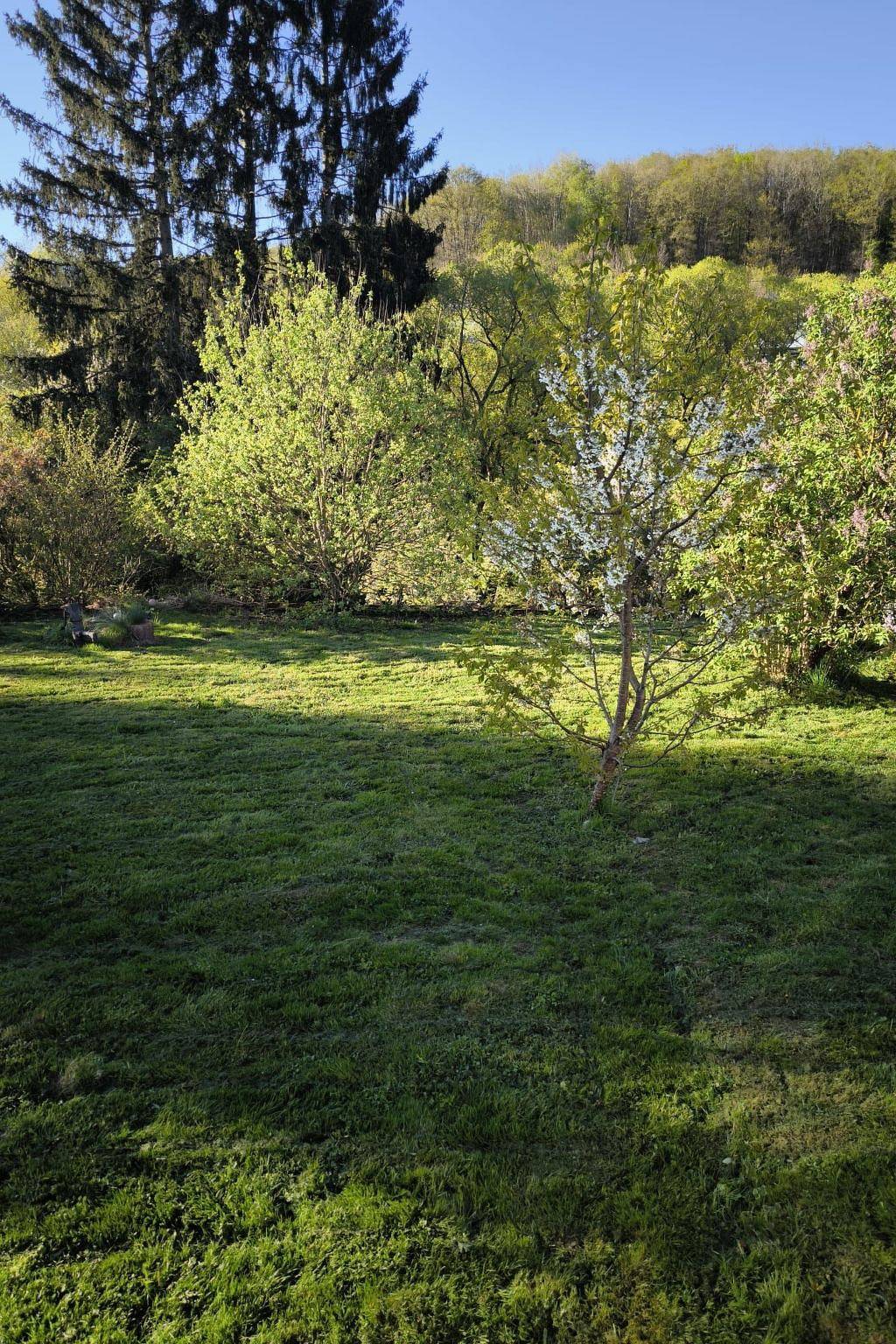 Ganze Wohnung, Ferienwohnung Sander in Kirchen (Sieg), Altenkirchen & Umgebung