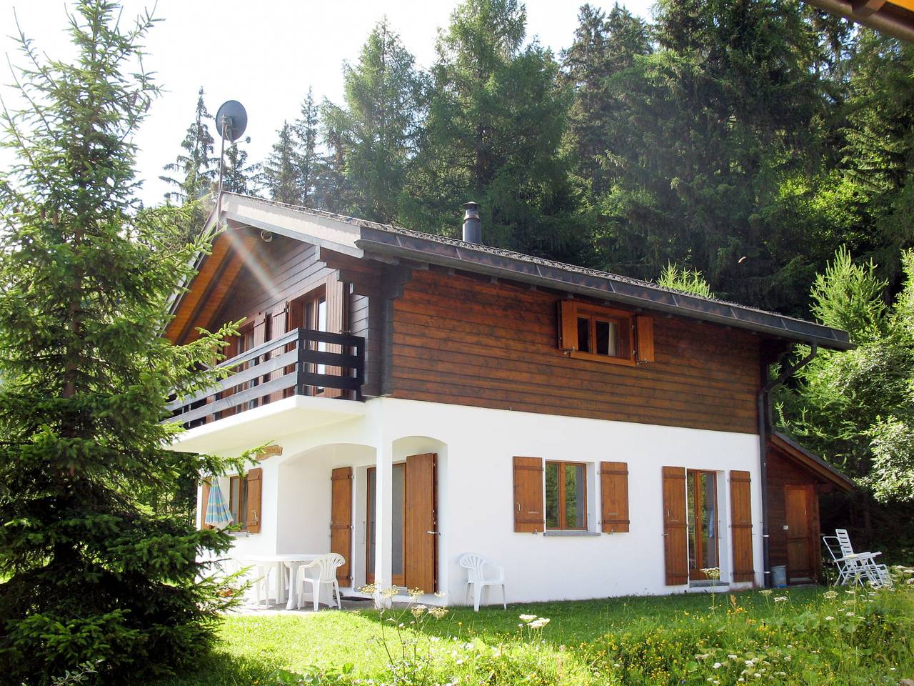 Edelweiss in La Tzoumaz, Riddes