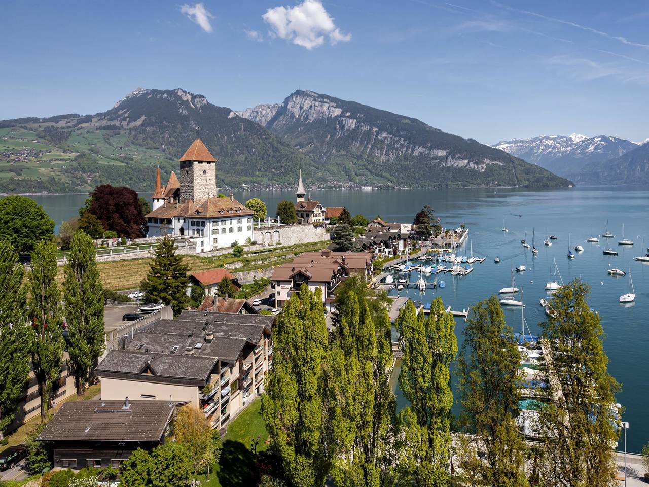 Ganze Wohnung, Buchtoase in Spiez, Thunersee