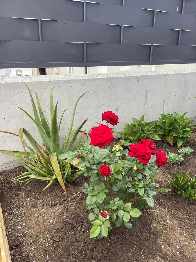 Chalet para 8 personas, con jardín además de sauna y jacuzzi en Comarca de Santander - 3