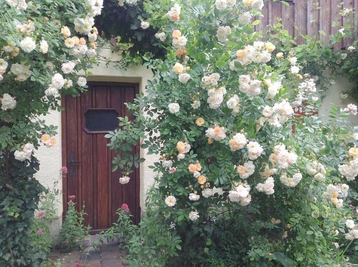 Ferienwohnung für 2 Personen, mit Terrasse und Garten in Schondorf - 2