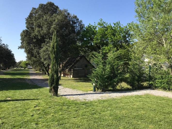 Hôtel pour 5 personnes, avec jardin et piscine, animaux acceptés à Richerenches - 4