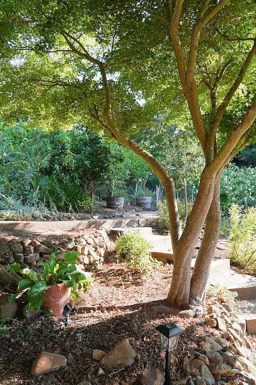 Annadel House Retreat- Stunning Wine Country Luxe! in Santa Rosa, California North Coast