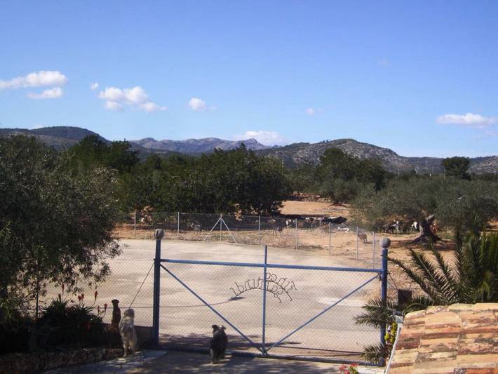 Casa rural para 6 personas, con piscina y jardín, Se admiten mascotas en La Ampolla