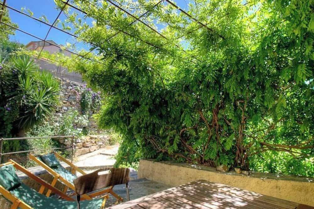 Glycine - Patrimonio in Patrimonio, Région de Calvi