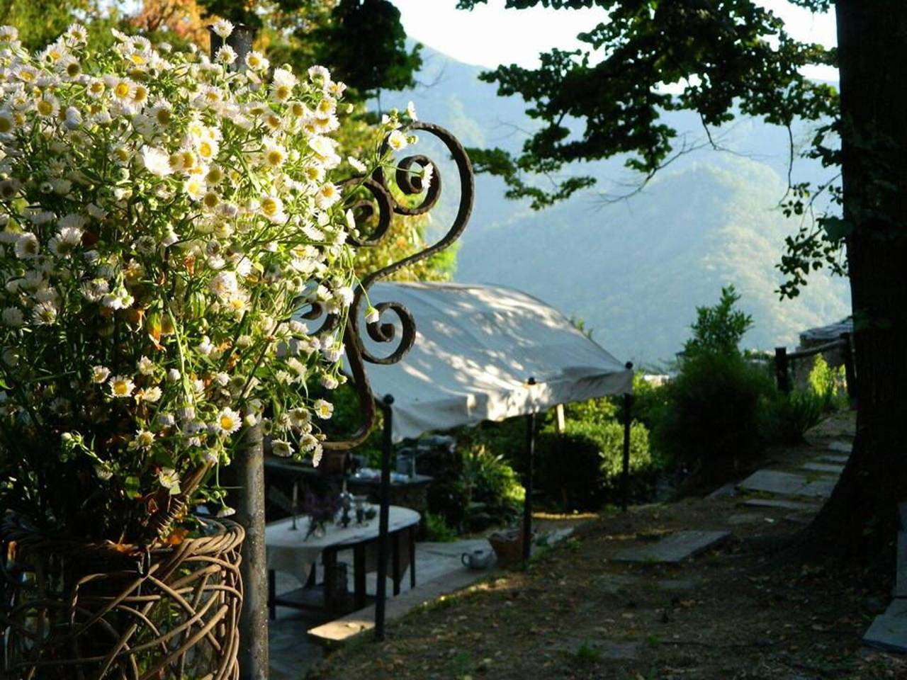 Emilia in Stazzema, Italienische Riviera