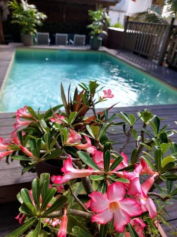 Gîte pour 3 personnes, avec piscine et jardin à Saint-François
