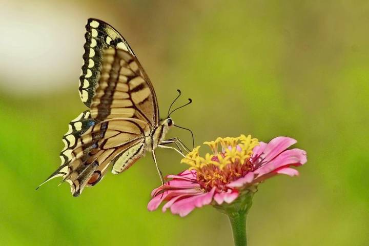 Ferienwohnung für 3 Personen, mit Garten und Ausblick