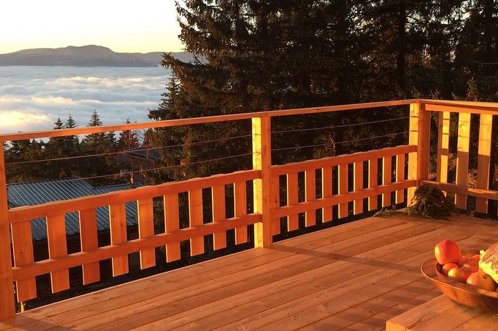 Chalet for 10 people, with sauna and garden as well as terrace, with pets - 1