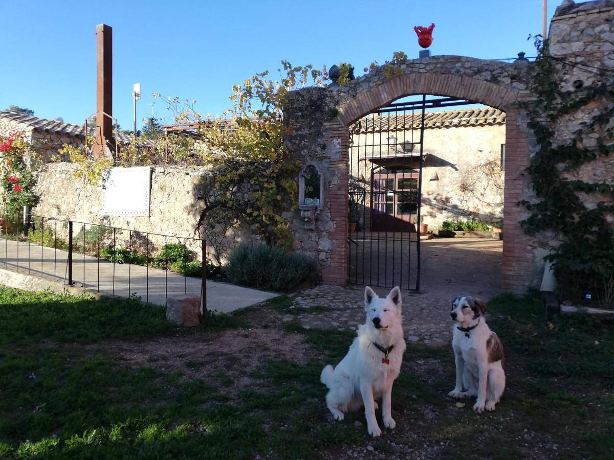 Double Room with Private Bathroom in Sobrestany, Torroella de Montgrí