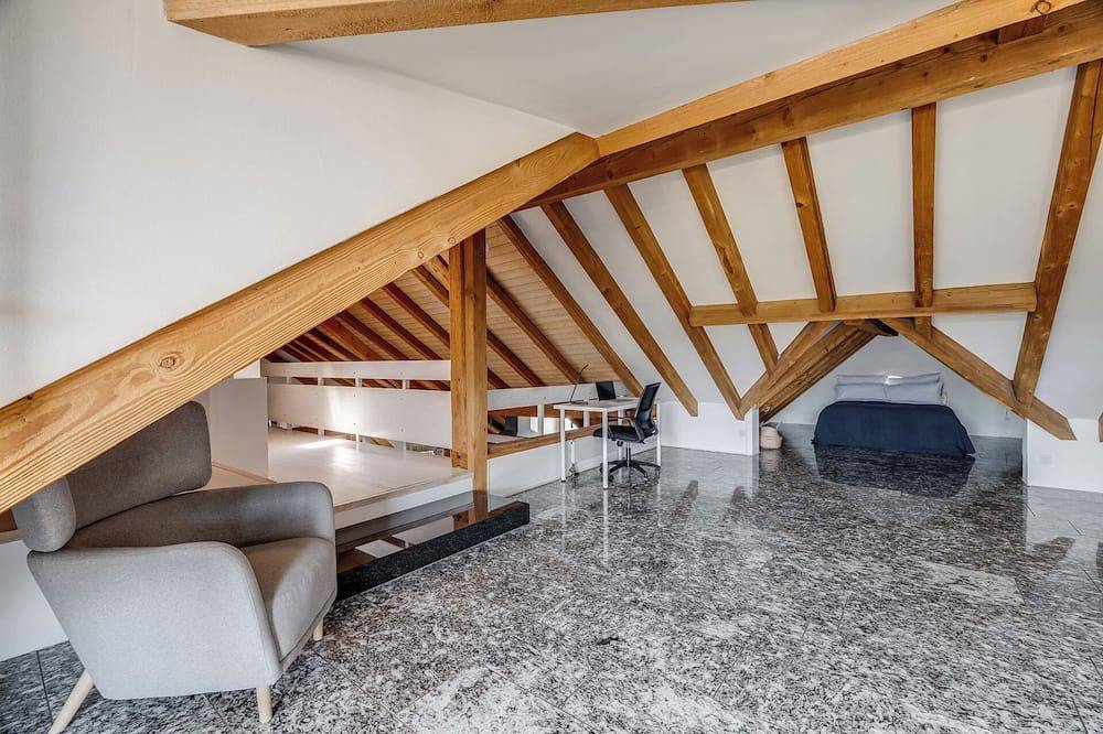 Entire apartment, Stunning apartment with roof terrace in Winterthur, Canton of Zürich