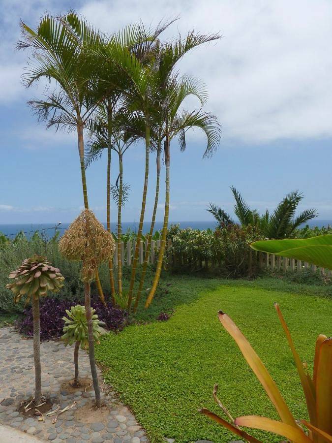 El Susurro Ecoliving_Villa Pardela in San Juan de la Rambla, Teneriffa Nord
