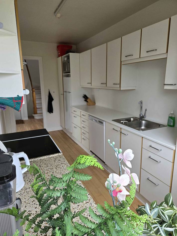 Villa für 8 Personen, mit Ausblick und Garten auf Seeland - 4