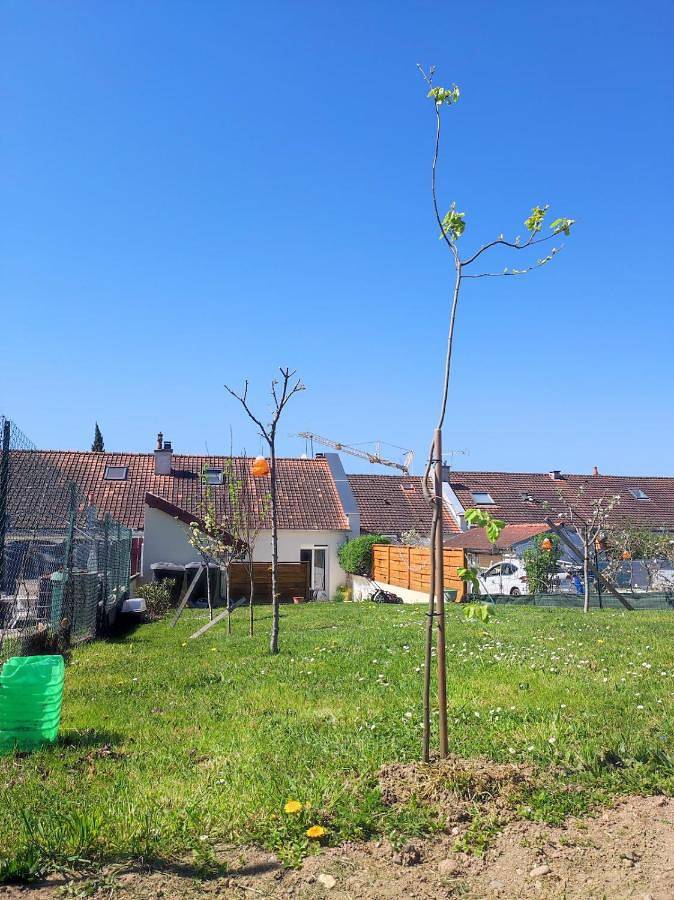 Gîte pour 2 personnes, avec Terrasse et Jardin à Saint-Yorre