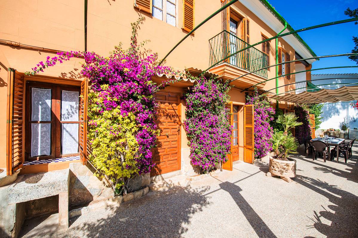 Can Rei Des Pla in Genova, Palma