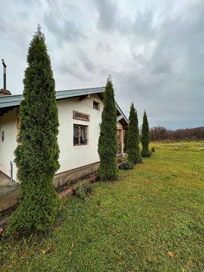 Location de vacances pour 6 personnes, animaux acceptés à Despotovac - 3