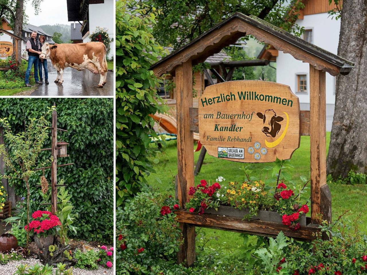 Ganze Ferienwohnung, Ferienhof Kandler - Ferienwohnung Morgensonne/1 Schlafraum/Dusche/Wc in Roßleithen, Kirchdorf an der Krems (Bezirk)