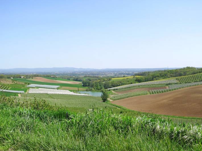 Touzy in L'Honor-de-Cos, Quercy