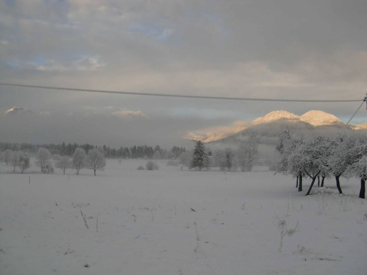 Ferienalm - Ferienalm in Chiemgauer Alpen, Ruhpolding