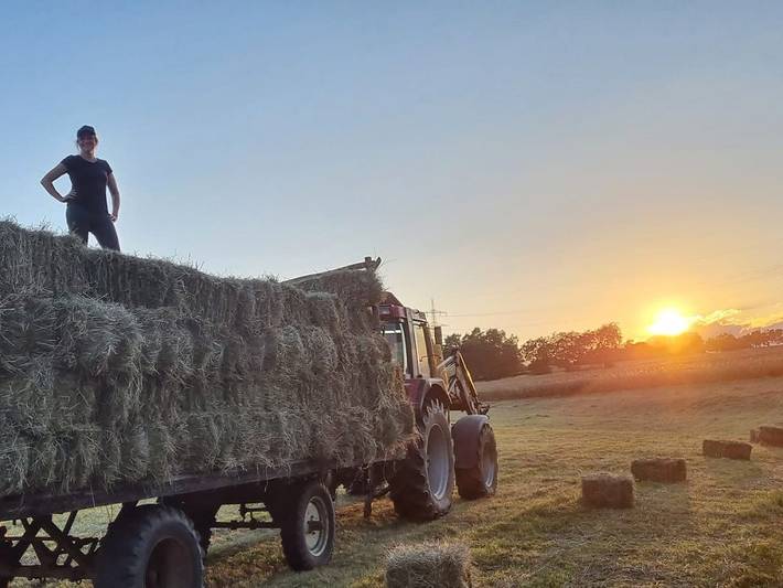 Bauernhof für 7 Personen, mit Garten und Terrasse, mit Haustier in Rheinland-Pfalz - 3